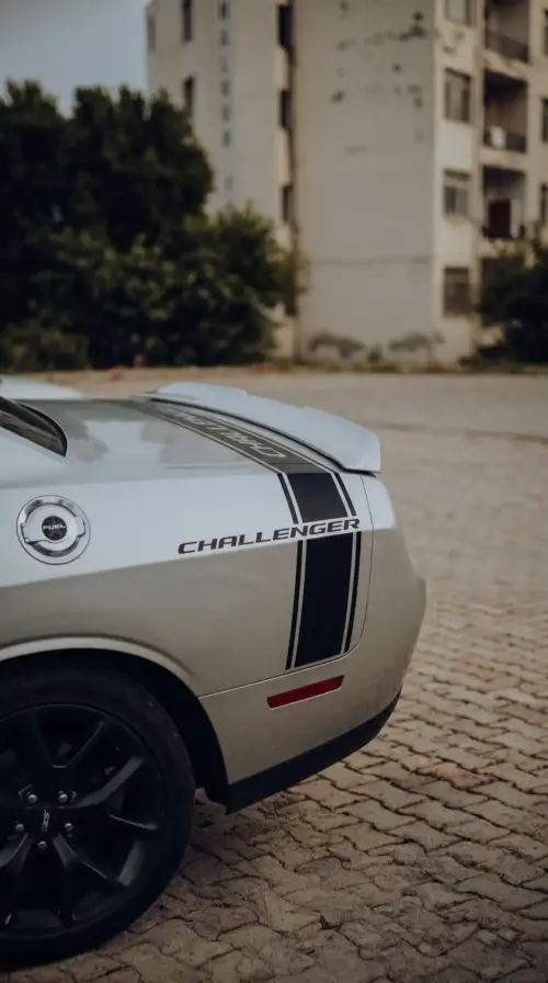 Dodge Challenger grise vue arrière