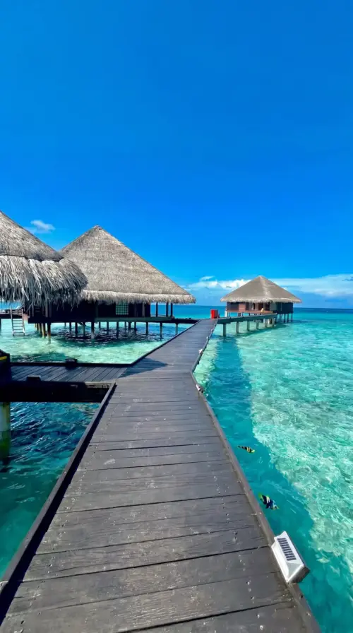 Pontoon leading to overwater bungalows above a turquoise lagoon wallpaper HD 4K for phone