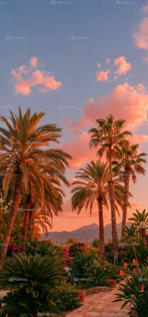 Tropical palm trees at sunset