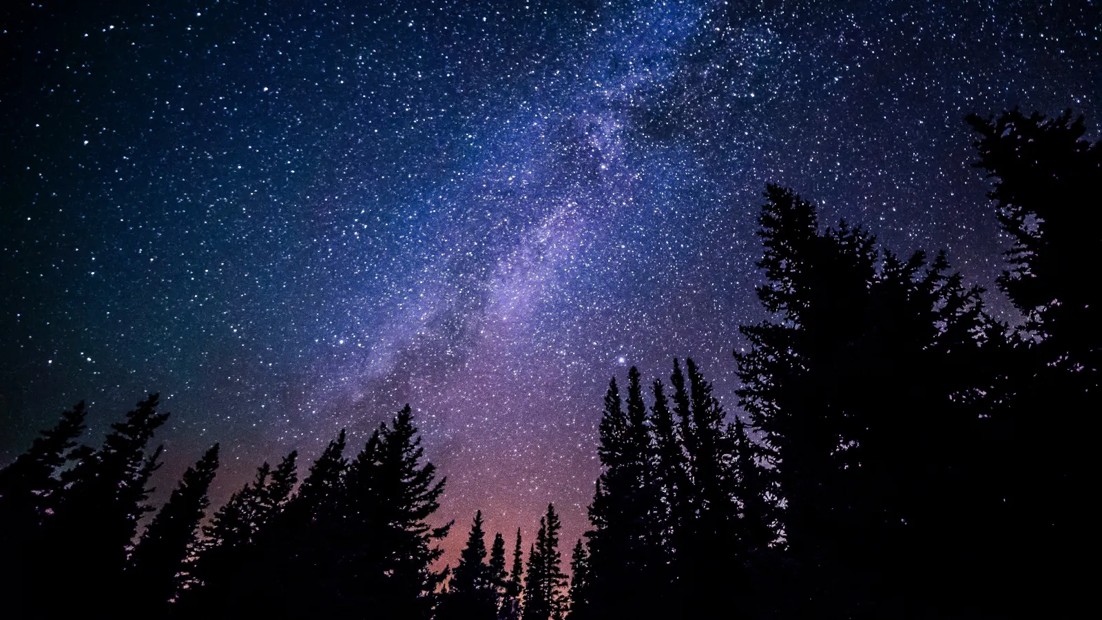 Milky Way above a forest at night wallpaper HD 4K for desktop