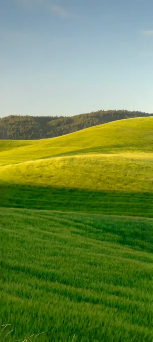 Verdant hills under a clear sky wallpaper HD 4K for phone